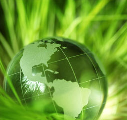 D&eacute;veloppement durable