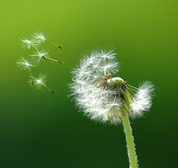 Air